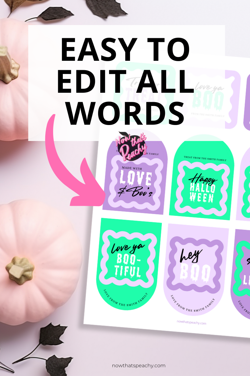 Favor Tag Halloween Printable Editable Gift Tag Halloween School Tag Boo Treat Tag Halloween Cookie Sticker Fall Ghost Happy Halloween Tags